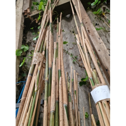 83 - A Collection of Garden Bamboo Canes and Support Stakes

An assortment of natural bamboo garden canes... 