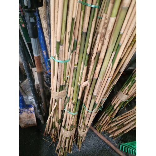 83 - A Collection of Garden Bamboo Canes and Support Stakes

An assortment of natural bamboo garden canes... 