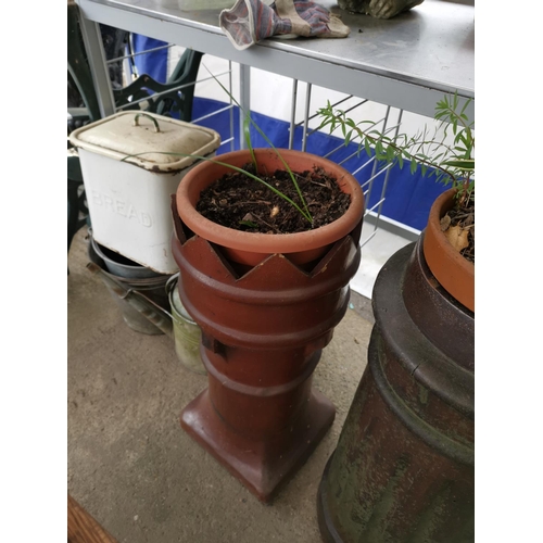 196 - Chimney pot and plant