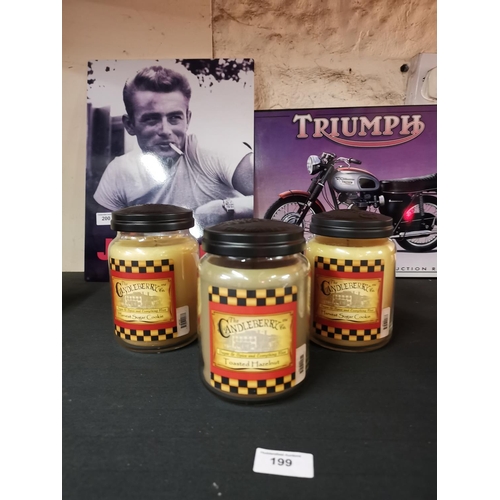 199 - 3 Candleberry scented candles