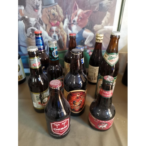 444 - 10 bottles of vintage beer- unopened