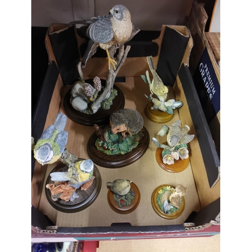 17 - Box of country artists bird figures