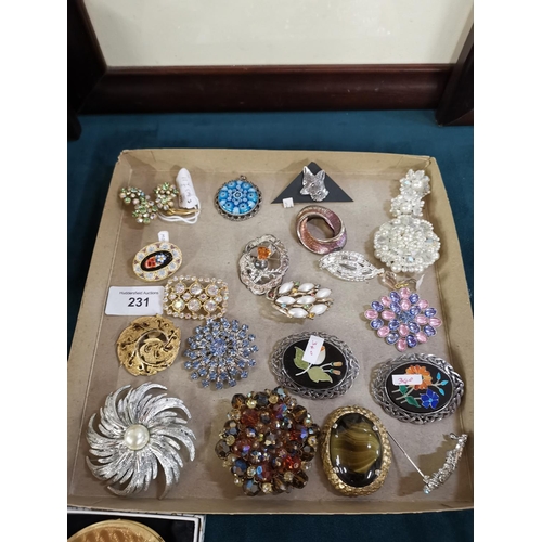 231 - Selection of vintage brooches etc