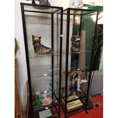 49 - 2  glass display stands contents not inc