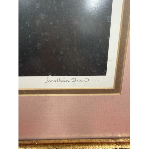 175 - The Family 297/850 By Jonathan Shaw