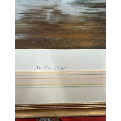 176 - The Fishing Tiger 220/850