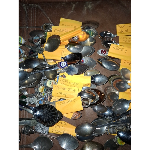 47 - Joblot of Collectable Spoons