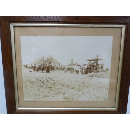 214 - PHOTOGRAPHS. Pair of 19th century sepia photographs of agricultural scenes: 