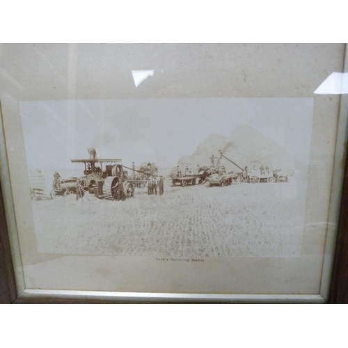 214 - PHOTOGRAPHS. Pair of 19th century sepia photographs of agricultural scenes: 