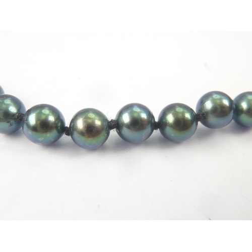 50 - Necklace with blue and grey stained freshwater pearls 9ct gold diamond set snap.