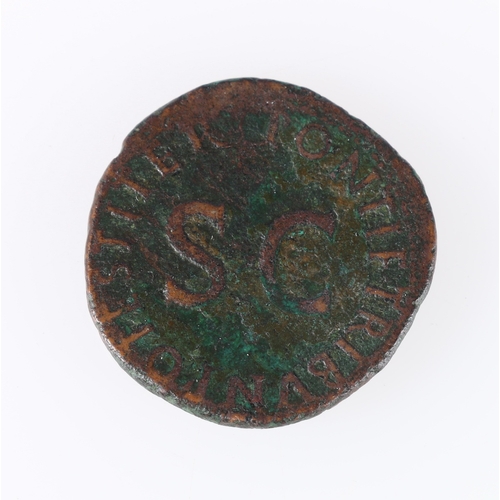 384 - Drusus AD23 copper as. S1794 obv. DRVSVS CAESER TI AVG F DIVI AVG N, bear head of Drusus l. rev. PON... 