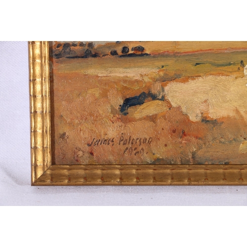 146 - JAMES PATERSON PRSW RSA RSW (1854-1932) Southwald September 1929 Signed and dated 1929 oil on board ... 