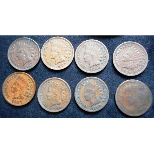 137 - U.S.A. Small collection of coins including Indian Head cents.