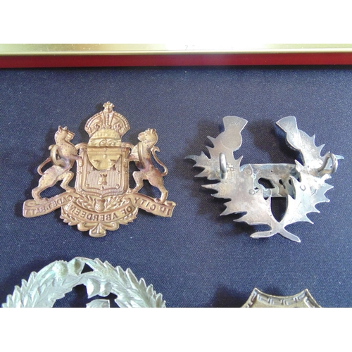 347 - 1st City of Aberdeen Cadet Battalion cap badge, 92nd regiment of foot sporran badge and four 92nd re... 