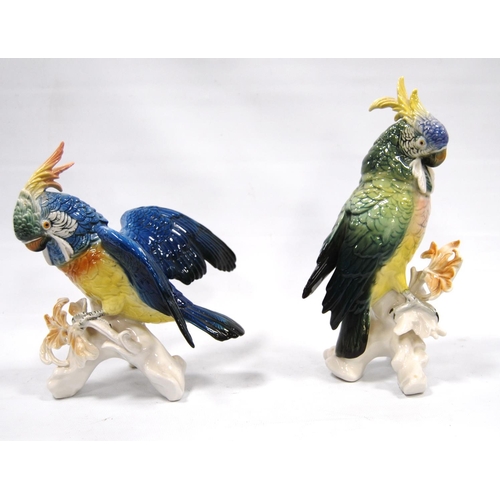 164 - Pair of porcelain cockatoos by Karl Ens Volkstedt, 27cm high.