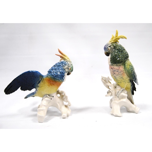 164 - Pair of porcelain cockatoos by Karl Ens Volkstedt, 27cm high.