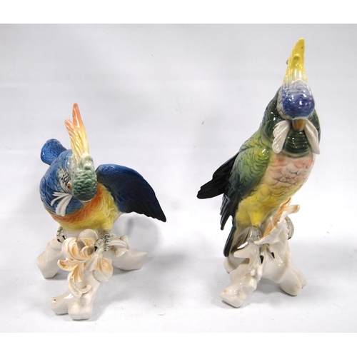 164 - Pair of porcelain cockatoos by Karl Ens Volkstedt, 27cm high.