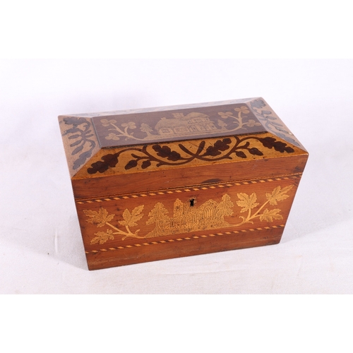 314 - Antique pine marquetry tea caddy of sarcophagus form inlaid with thatched cottage, castle ruins, oak... 