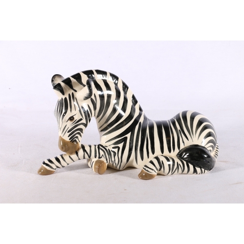 243 - Szeiler studio pottery model of a seated zebra, 28cm long