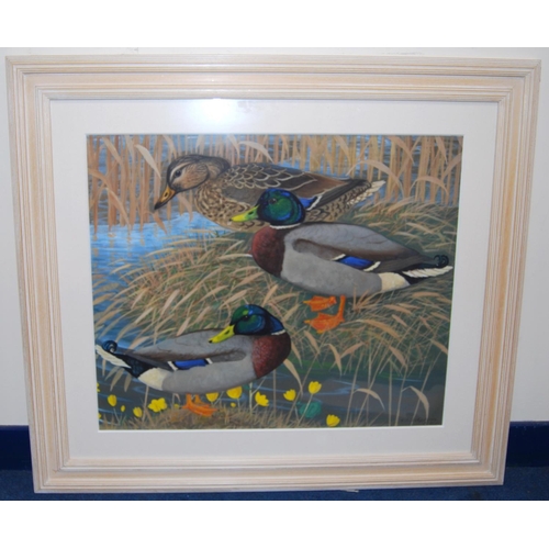 229 - RALSTON GUDGEON RSW (SCOTTISH, 1910 - 1984)MallardsSigned lower right, mixed media, 50cm x 60cm.&nbs... 