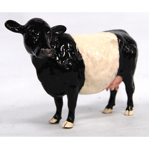 243 - Beswick model of a Belted Galloway cow, marks to the underside, boxed, 21cm wide and 14cm high.