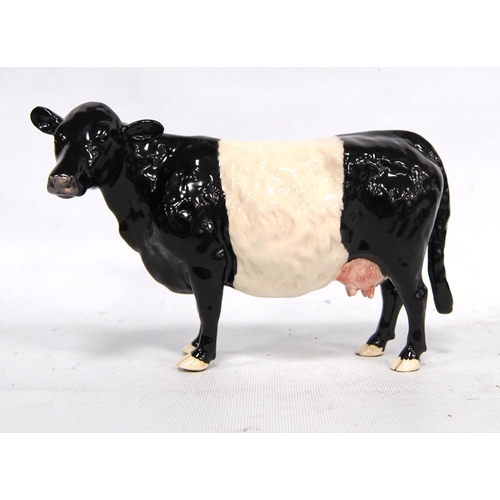 243 - Beswick model of a Belted Galloway cow, marks to the underside, boxed, 21cm wide and 14cm high.