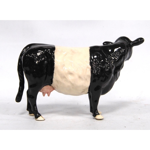 243 - Beswick model of a Belted Galloway cow, marks to the underside, boxed, 21cm wide and 14cm high.