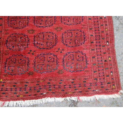 299 - Rug with three rows of seven guls over red ground, multiple border, multiple border, 171cm x 108cm.