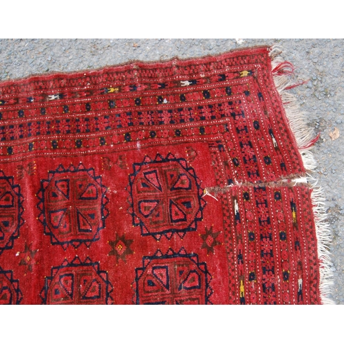 299 - Rug with three rows of seven guls over red ground, multiple border, multiple border, 171cm x 108cm.