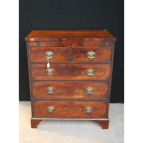 356 - Victorian mahogany chest, the rectangular top over two short and three graduated long drawers, raise... 