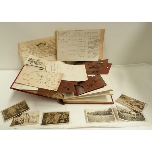 159 - BALL S. N., of Foxwold Chase (Kent). Scrapbook & diary of Equestrian & sporting interest. Qu... 