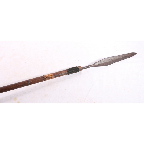 537 - Borneo Dayak spear headed blow pipe, 206cm long