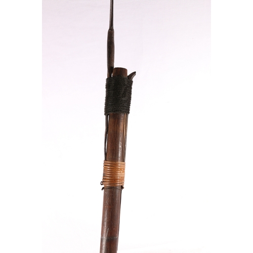 537 - Borneo Dayak spear headed blow pipe, 206cm long