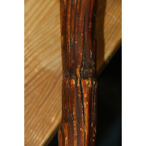 508 - Antique Jersey cabbage stalk or root wood staff or walking stick with brass top, 93cm long