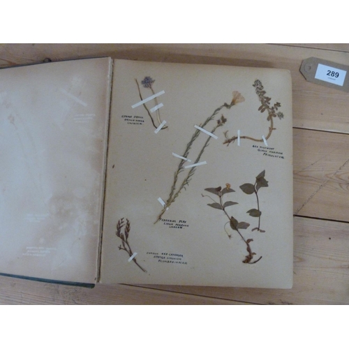 289 - The Dry Garden.&nbsp;&nbsp;Quarto Edwardian album with c.20 pages of annotated & other pressed p... 