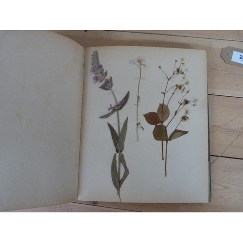 289 - The Dry Garden.&nbsp;&nbsp;Quarto Edwardian album with c.20 pages of annotated & other pressed p... 