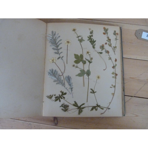 289 - The Dry Garden.&nbsp;&nbsp;Quarto Edwardian album with c.20 pages of annotated & other pressed p... 