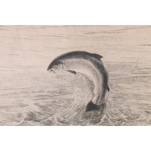 223 - AFTER CHARLES WHYMPER RI, (1853-1941), Salmon Fishing, Etching by H R ROBERTSON, 58cm x 35cm... 