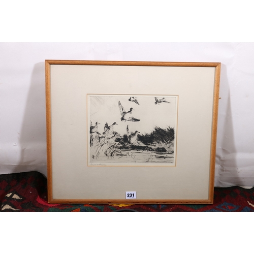 231 - FRANK WESTON BENSON (American, 1862-1951), Baldpates, Pencil signed etching, 19cm x 25cm,&... 