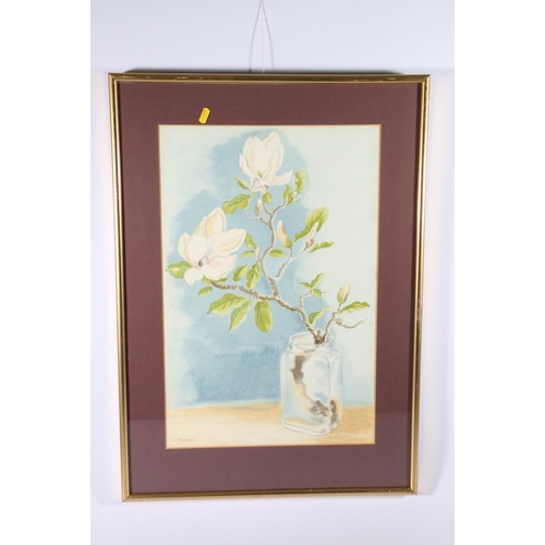 283 - A B THOMPSON, Still Life of Magnolias, signed watercolour, 52cm x 34cm