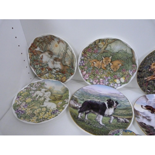 16 - The Trail of Painted Ponies also four Royal Doulton Dogs in Action collector's plates and four Royal... 