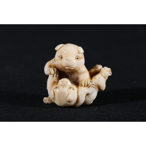 354 - An Ivory netsuke of two puppies playing, 4cm, 26g, unsigned Meiji/Taisho