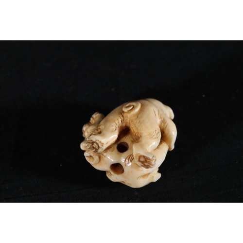 354 - An Ivory netsuke of two puppies playing, 4cm, 26g, unsigned Meiji/Taisho