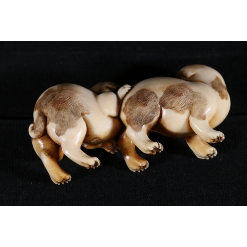 355 - An ivory okimono of two puppies playing, one biting the others hind quarters, unsigned, Meiji