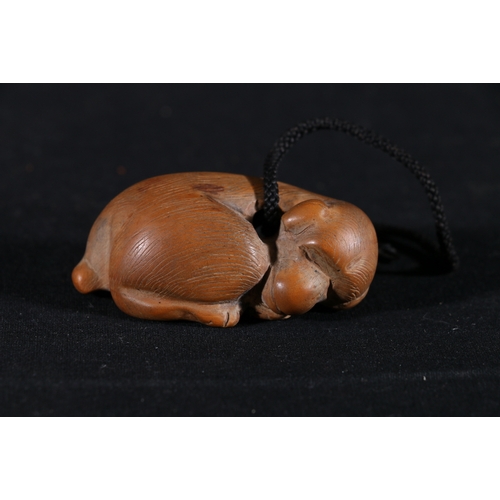 356 - A carved wooden netsuke depicting a sleeping monkey, 6acm, unsigned, 68mm, Taisho/Showa