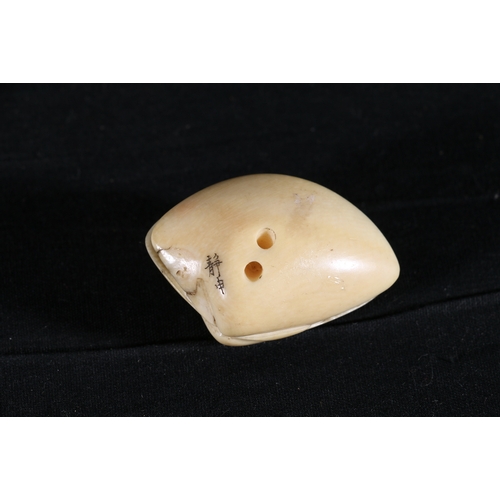 357 - Ivory netsuke of The Clams Dream, signed, 45mm, 14g, Meiji