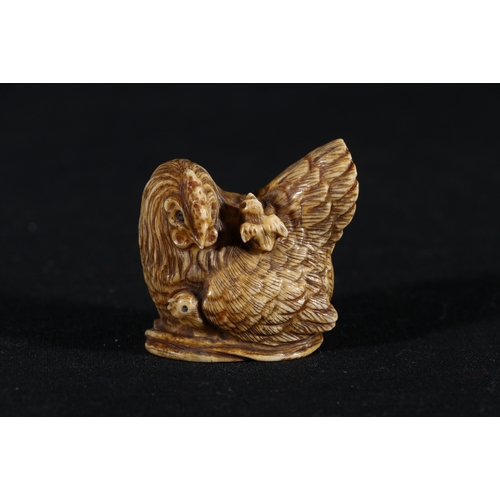 360 - Stained ivory netsuke of a mother hen observing her two chicks, 4cm, signed, 35g, Meiji