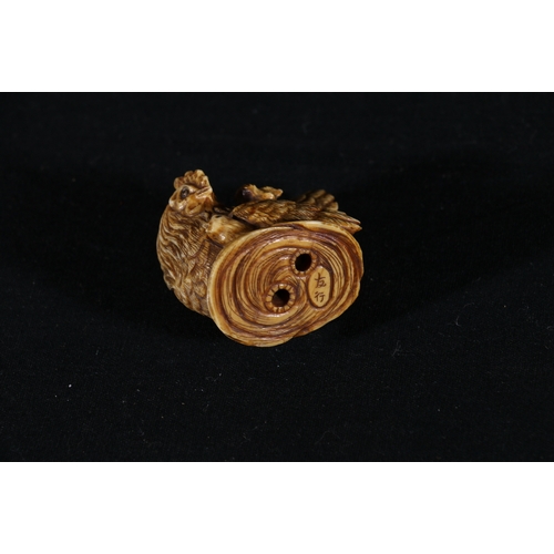 360 - Stained ivory netsuke of a mother hen observing her two chicks, 4cm, signed, 35g, Meiji