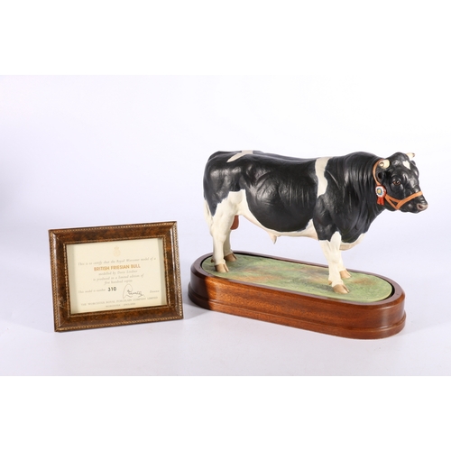 265 - Royal Worcester porcelain model of a British Friesian Bull modelled by Doris Lindner on wooden plint... 