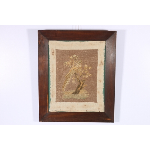 321 - Early antique needlework on linen depicting a bird resting on branch within a rosewood frame 41cm x ... 